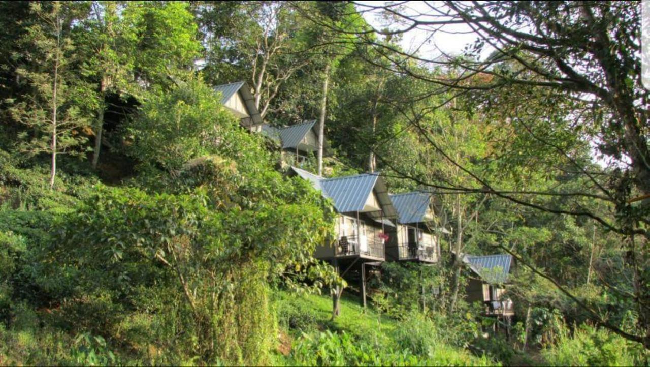 Moselberg Riverside Cottages Munnar Exterior photo