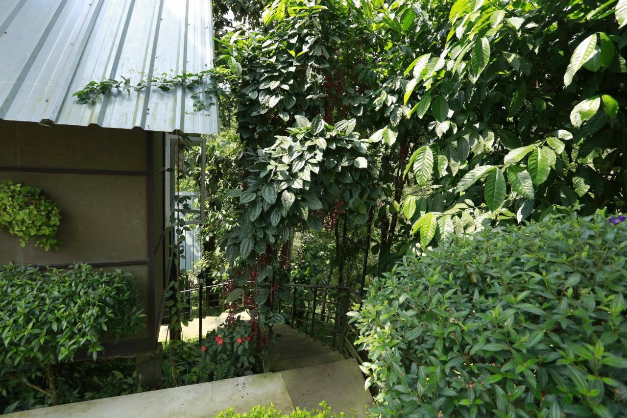 Moselberg Riverside Cottages Munnar Exterior photo